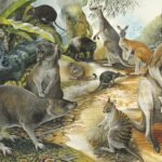 Похождения видов. История о том, как эволюционировали животные
