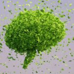 Стимуляция мозга привела к более «экологичным» решениям