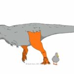 Предок динозавров и птиц мог иметь яркую расцветку кожи