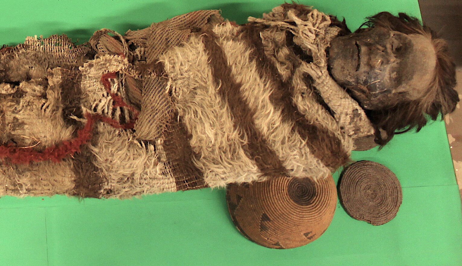 Яйца вшей раскрыли подробности о южноамериканских мумиях