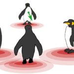Физики показали, как пингвины-эгоисты достигают коллективного оптимума
