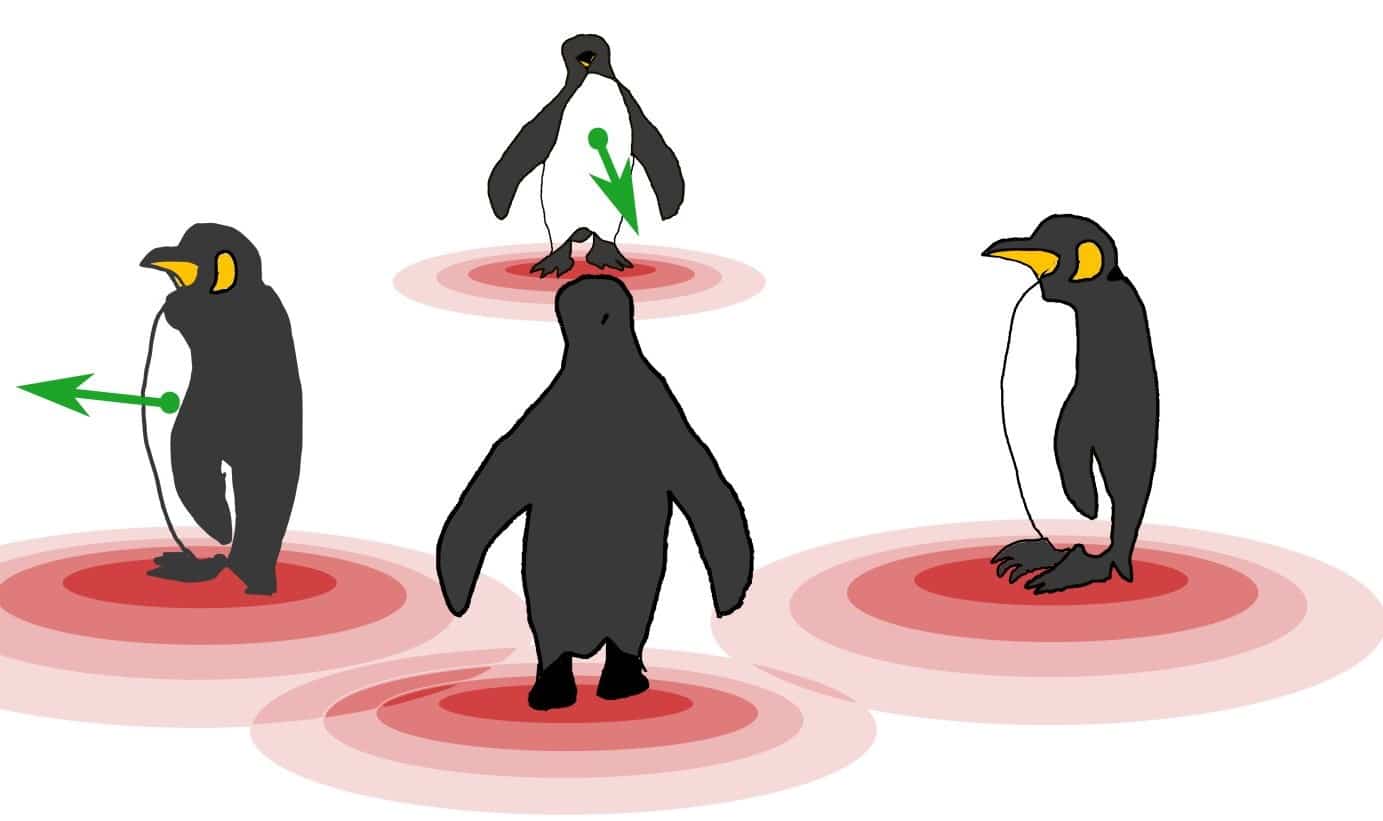 Пингвины как активные частицы в скалярном поле. / © HHU / Alexandra V. Zampetaki