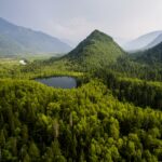 В СФУ рассказали о влиянии «подземного климата» на рост лесов Сибири