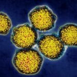 Вирусный гепатит B: в зоне постоянного риска
