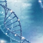 Секрет упаковки ДНК. Жизнь под контролем структуры
