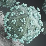 В Нидерландах выявили более агрессивный вариант ВИЧ-1
