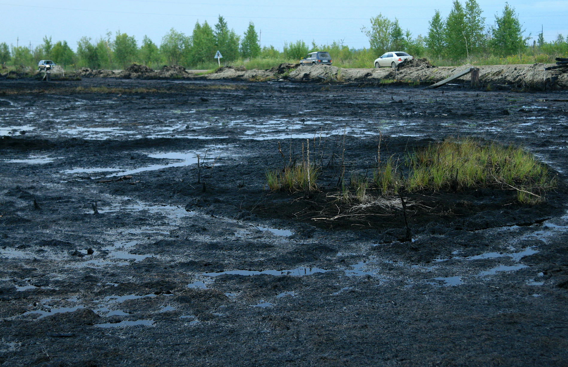 В Пермском Политехе нашли экономичный способ восстановить почвы от нефтепродуктов