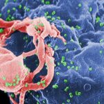 Врачам удалось избавить человека от ВИЧ в четвертый раз в истории