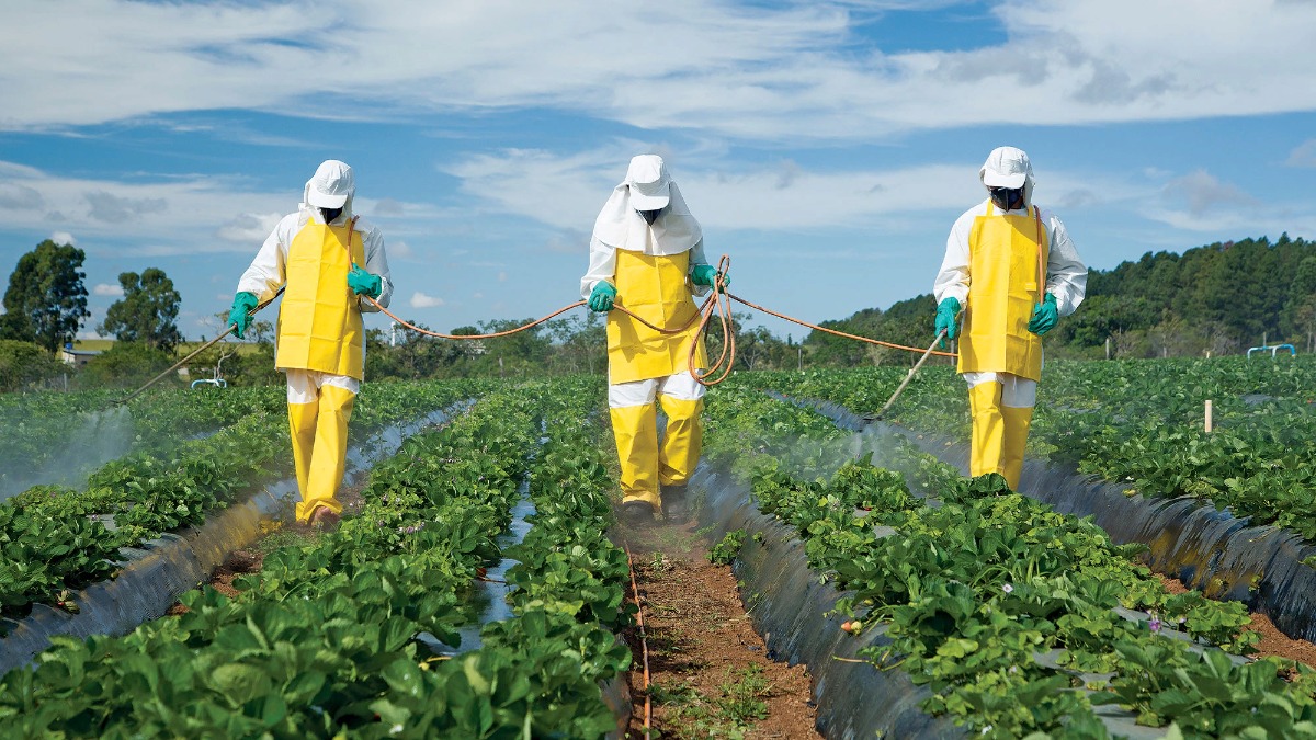 Число людей, подвергающихся вредному воздействию пестицидов, возросло