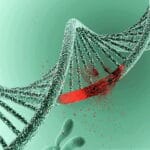 Мутации: генные, хромосомные и геномные