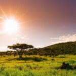 Антропологические экспедиции в Танзании
