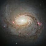 Единая модель формирования активных ядер галактик подтверждена новыми наблюдениями