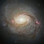 Снимок спиральной галактики Мессье 77, сделанный космическим телескопом Хаббл.