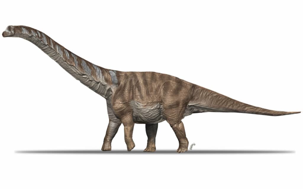 Реконструкция внешнего вида Abditosaurus kuehnei