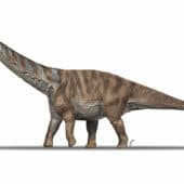 Реконструкция внешнего вида Abditosaurus kuehnei