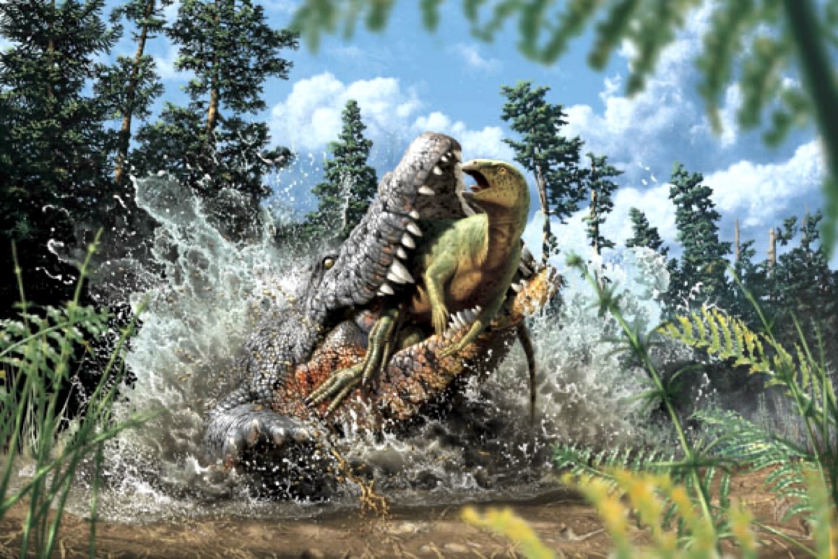 Крокодилы мелового периода охотились на динозавров-орнитопод