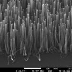 Открыты новые перспективы применения в электронике пленок из нанотрубок