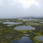 В ТГУ уточнили запасы органического углерода в мерзлых болотах Западной Сибири