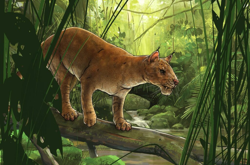 Первый саблезубый зверь Diegoaelurus vanvalkenburghae