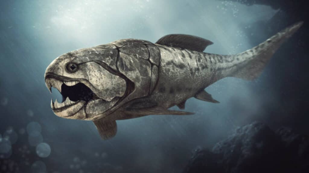 Dunkleosteus был огромным хищником с мощными челюстями, но без зубов