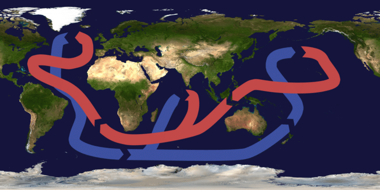 Глобальная циркуляция потоков — так называемый океанический конвейер