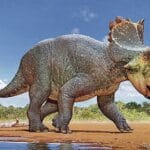 Динозавры бывают разные