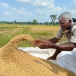 Увядание крупнейшего зеленого эксперимента, или Как органическое земледелие всего за два года довело Шри-Ланку до дефолта