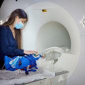 Сканирование мозга новорожденного