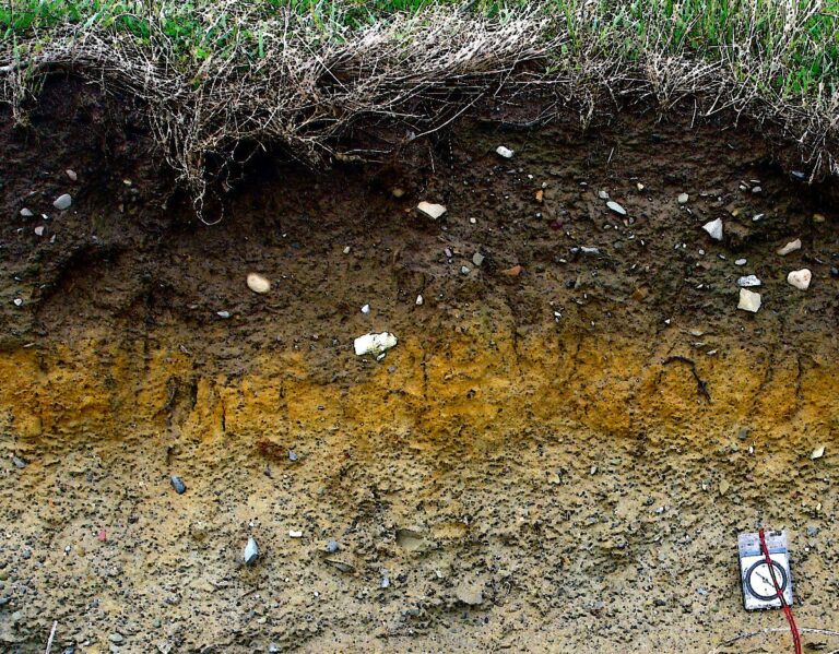 Глеезем — один из типов почв, рассмотренных учеными