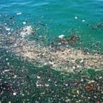 Волновые закономерности формирования мусорных островов в Мировом океане