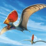 Яркие перья птерозавров-«императоров» указали на сложность их поведения