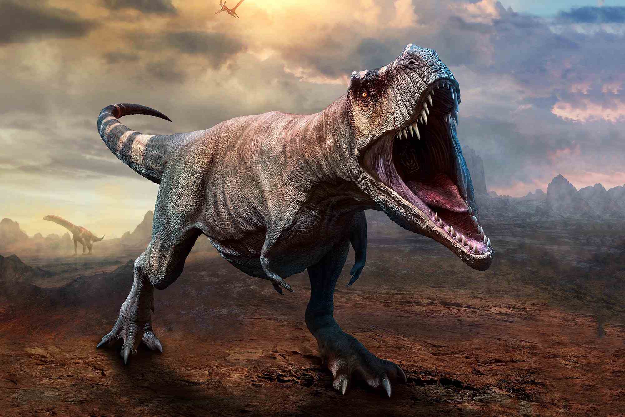Горгозавр Тираннозавр