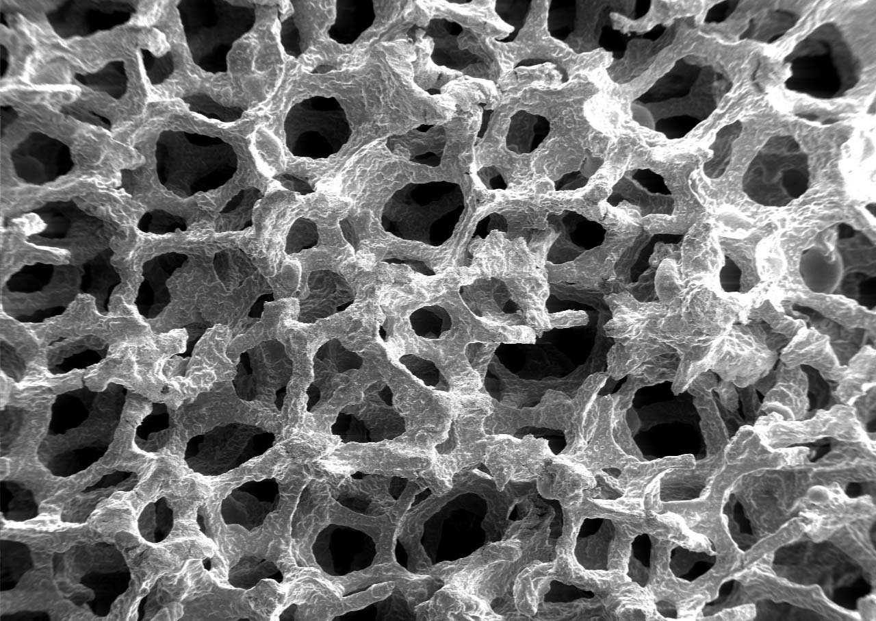 В ННГУ обнаружили уникальные магниевые структуры для наноматериалов