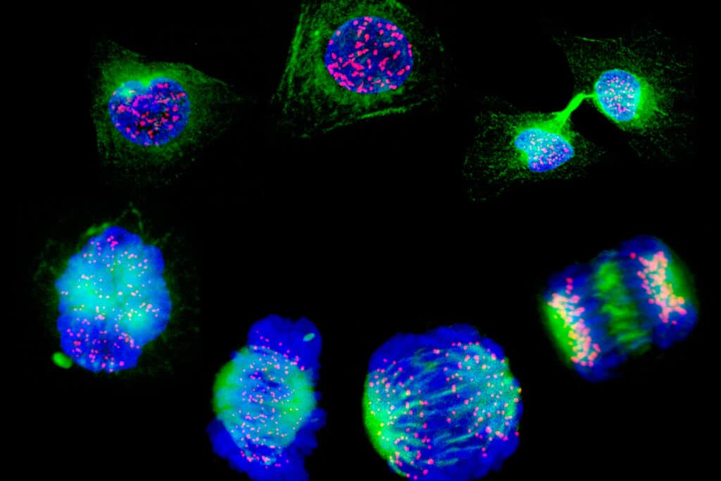 Синтезированы стабильные светящиеся нанометки, перспективные для диагностики рака / ©Getty images 