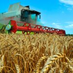 В НИУ ВШЭ выявили критически важные направления развития технологий в сельском хозяйстве России