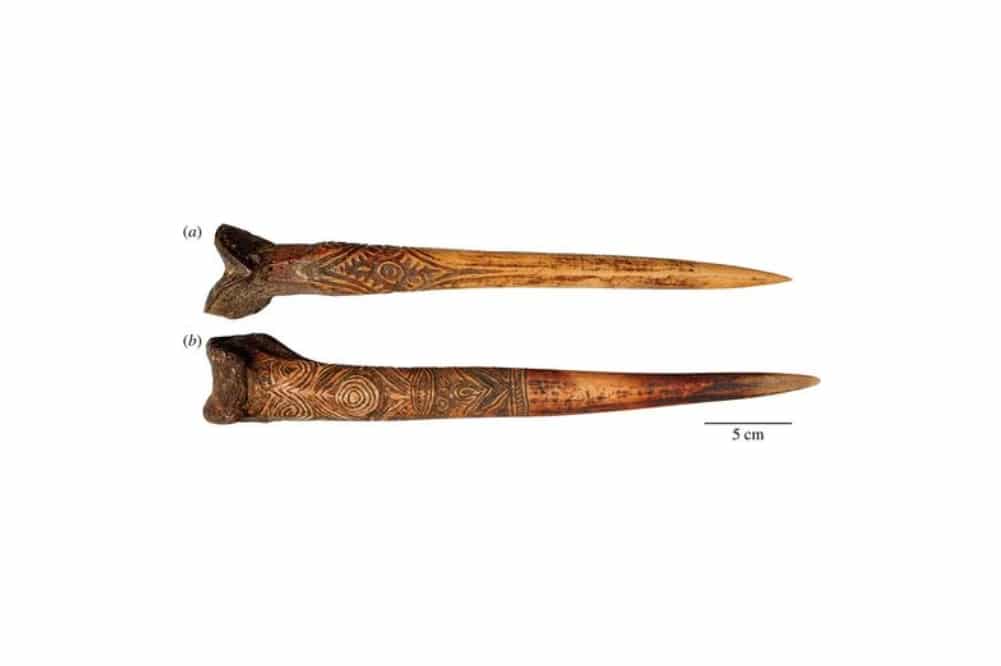 Сверху — кинжал папуасов, сделанный из человеческой кости, снизу — из кости казуара / ©Hood Museum of Art, Dartmouth College