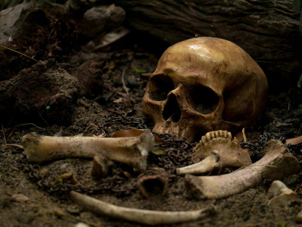 Зачем люди вырезали оружие, украшения и многое другое из человеческих костей? / ©iStock