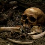 Старые кости: когда люди придумали набор «сделай сам» из человеческого скелета