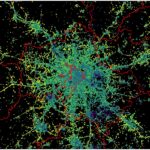 «Ночная география», или Как спутниковые снимки помогают исследовать сезонные миграции