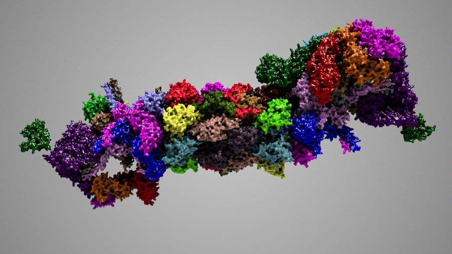 Модель протеасомы