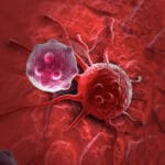 Раковые клетки: найти и уничтожить