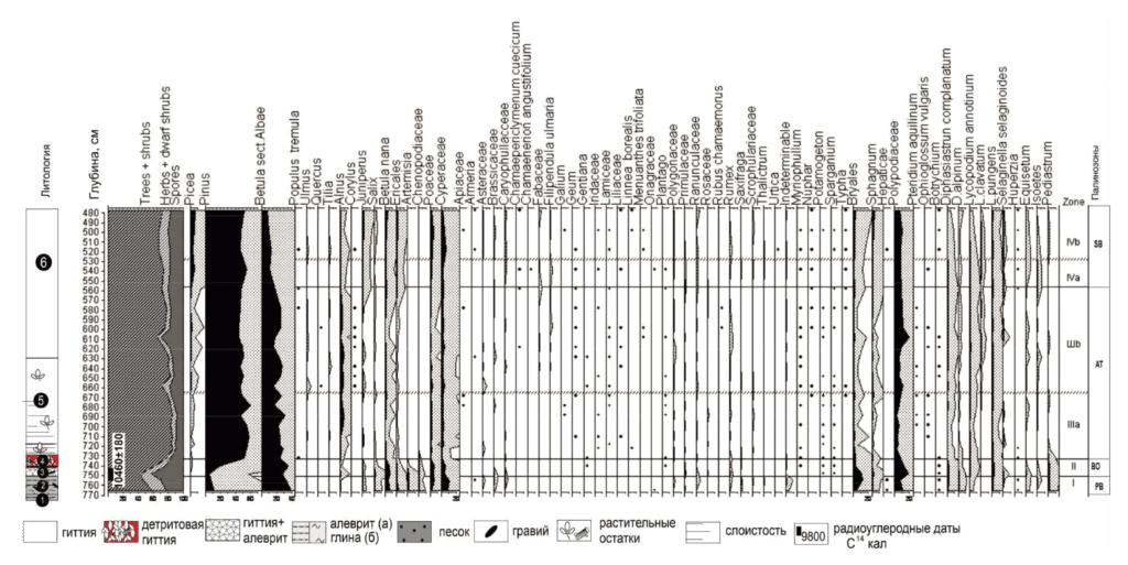 Литостратиграфия и спорово-пыльцевая диаграмма разреза донных отложений озера на юге полуострова / ©Пресс-служба КНЦ РАН