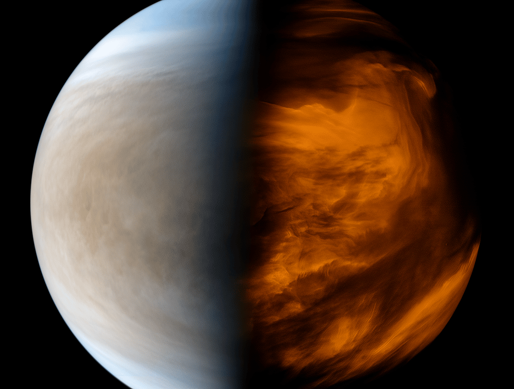 Астробиологи выяснили, возможно ли существование жизни в облаках Венеры  