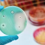 Российские ученые займутся проблемой резистентности бактерий к антибиотикам