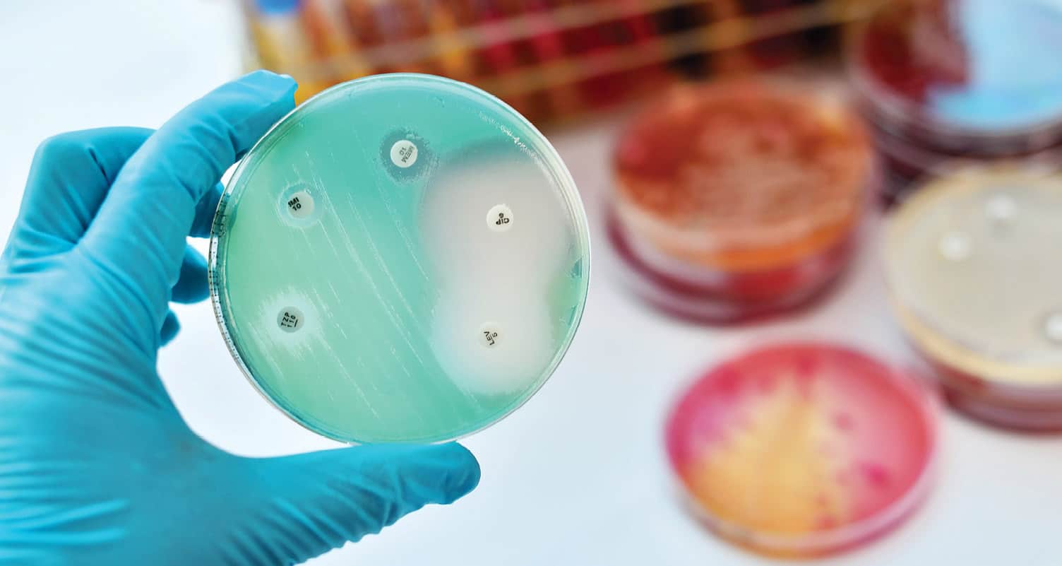 Российские ученые займутся проблемой резистентности бактерий к антибиотикам
