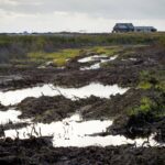 Сибирские ученые протестировали почву на нитраты «в глубину»
