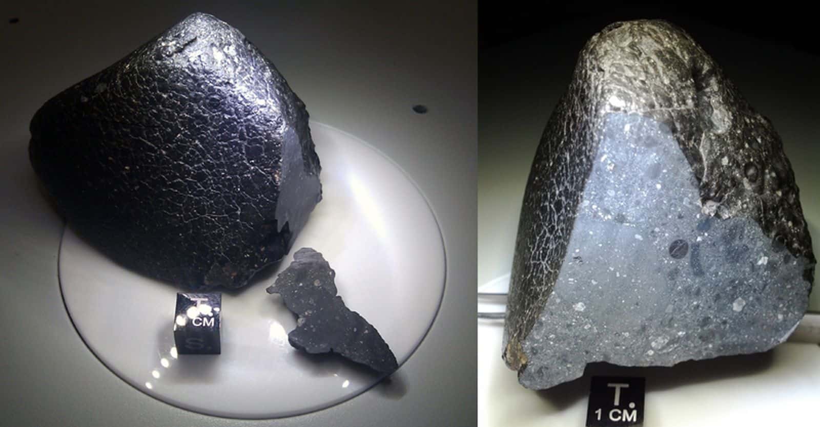 Марсианский метеорит NWA 7034, так же известный как «Черная Красавица». / © Institute of Meteoritics UNM