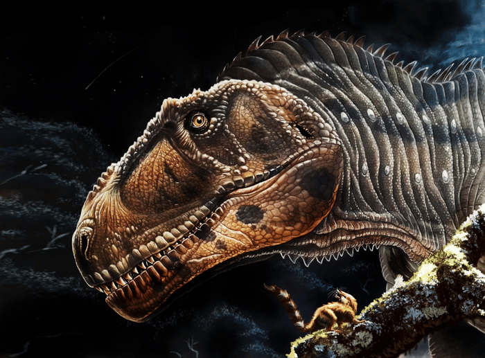 Аргентинский «дракон» раскрыл секреты крошечных передних лап тираннозавра