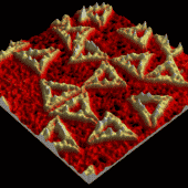Структуры из ДНК-оригами под сканирующим зондовым микроскопом