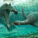 Плезиозавры могли жить в пресной воде